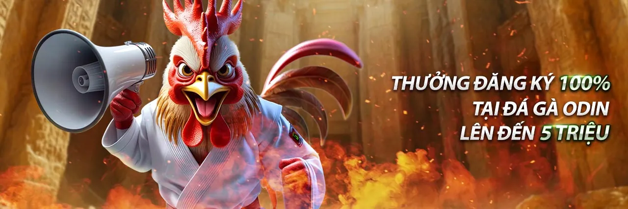 Quy tắc cá cược công bằng và minh bạch tại anhem888 đăng nhập